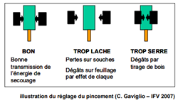 La machine à vendanger - quelles contraintes sur le palissage