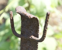 Le palissage