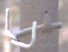 Le palissage