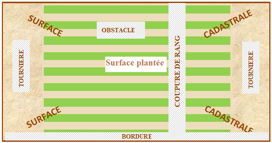 la surface plantée d'une parcelle