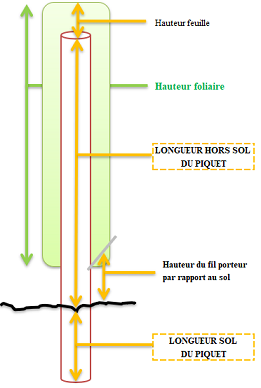 Comment calculer la longueur d'un piquet de rang - piquet de palissage