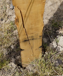 Conseils de pose des piquets de palissage