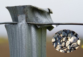 Conseils de pose des piquets de palissage