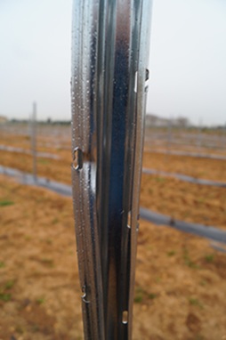 Conseils de pose des piquets de palissage