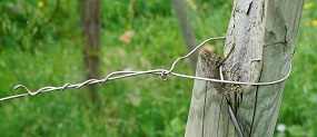 Comment attacher un fil fixe sur un piquet de tête