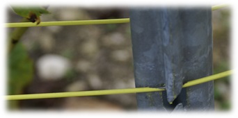 Fil de palissage - fil releveur - fil en acier plastifié