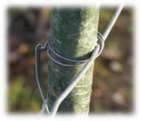 Support fils fixes, crochet pour piquet de rang en composite