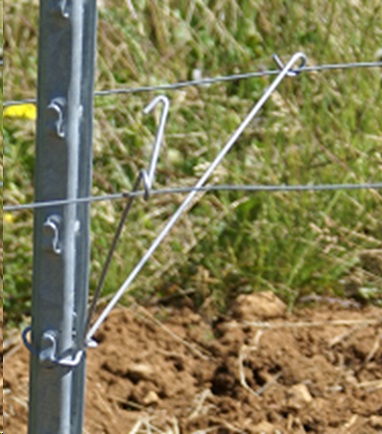 Ecarteur pour le palissage de la vigne