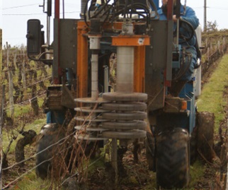 Ecarteur pour le palissage de la vigne