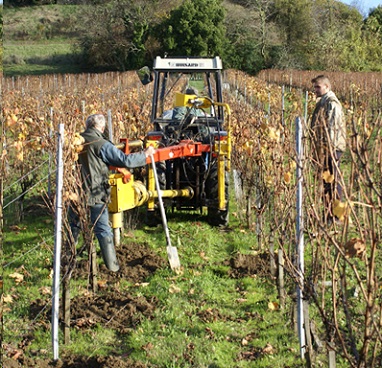 Ecarteur pour le palissage de la vigne