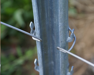 Ecarteur pour le palissage de la vigne