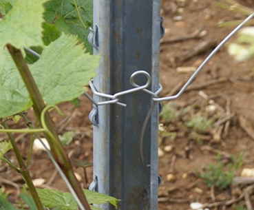 Ecarteur pour le palissage de la vigne