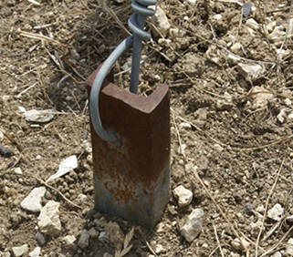 Les amarres de palissage