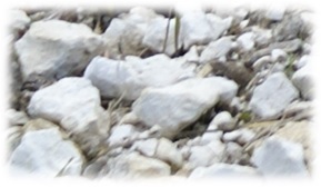 Le carbonate de calcium