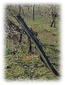 La résistance à la déformation des piquets de vigne en bois