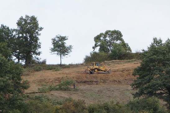 Le cout de la plantation - la préparation de la parcelle - TECHNIS'Budget