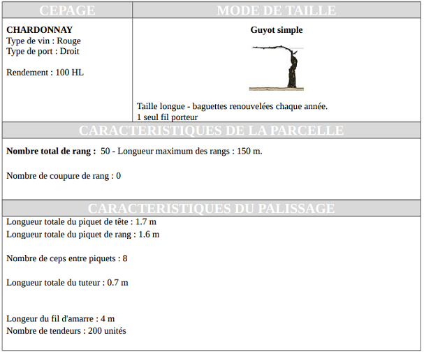 Le cout de la plantation - TECHNIS'Budget