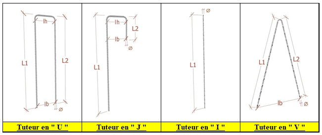 TUTCRANTE2