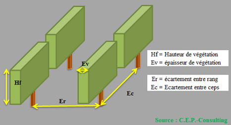 Densité de plantation - CEP -Consulting