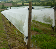 filet de protection contre la grêle